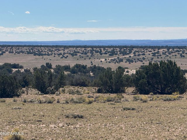 Lot 746 Woodland Valley Ranch -- 746, St Johns, AZ 85936