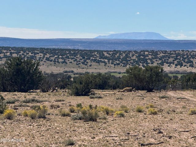 Lot 746 Woodland Valley Ranch -- 746, St Johns, AZ 85936