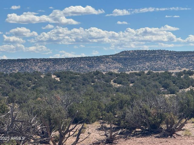 Lot 746 Woodland Valley Ranch -- 746, St Johns, AZ 85936