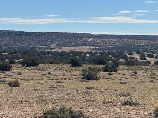 Lot 746 Woodland Valley Ranch -- 746, St Johns, AZ 85936