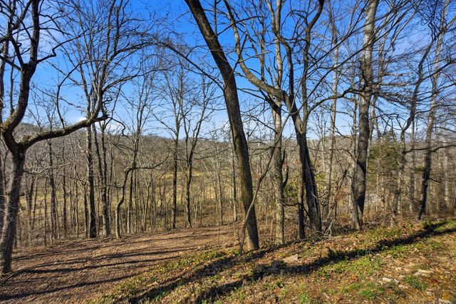 3611 Cooper Nicholson Rd, Pleasant View, TN 37146