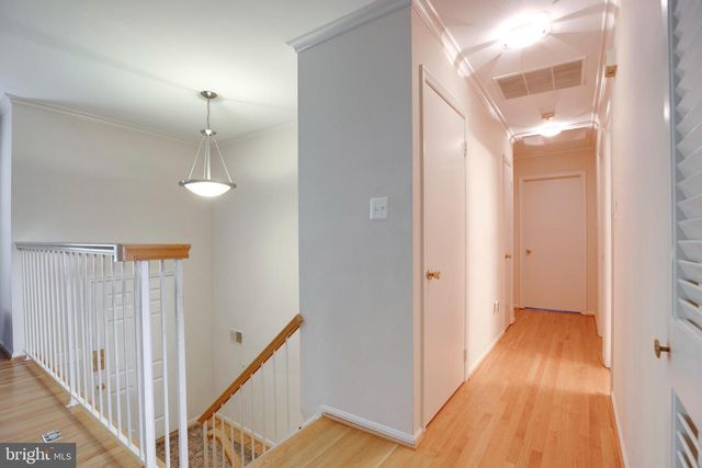 10535 BREVITY DR, Great Falls, VA 22066