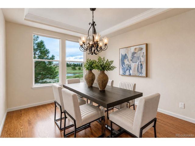2909 Dreamcatcher Loop, Castle Rock, CO 80109