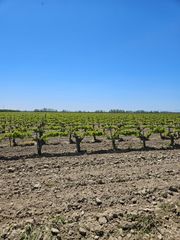 0 W North Avenue, Kerman, CA 93630