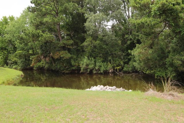 1802 Hopeman Lane, Mount Pleasant, SC 29466