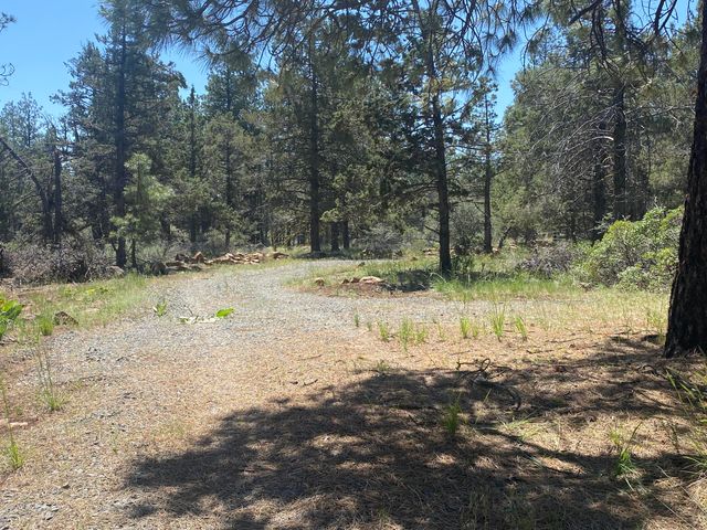 12543 Night Owl Drive, Bonanza, OR 97623