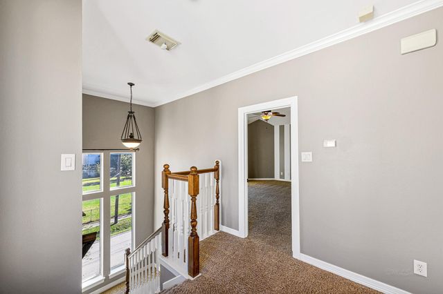 1505 Roy Street, Houston, TX 77007