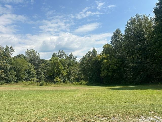 4361 York Landing Rd, Woodlawn, TN 37191