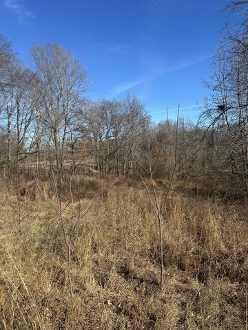 4361 York Landing Rd, Woodlawn, TN 37191
