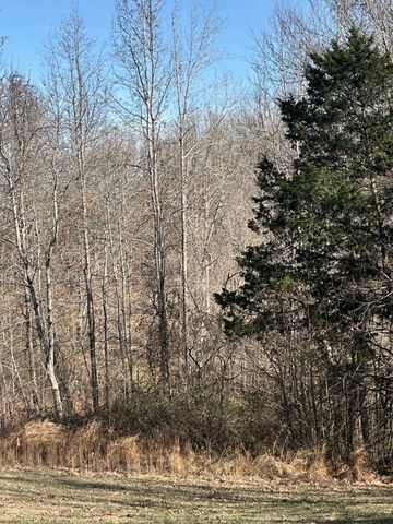 4361 York Landing Rd, Woodlawn, TN 37191