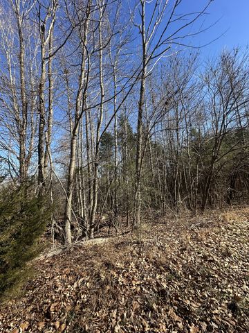 4361 York Landing Rd, Woodlawn, TN 37191