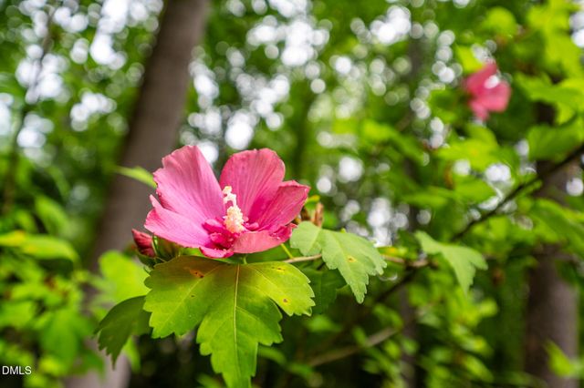 1020 Burning Tree Drive, Chapel Hill, NC 27517