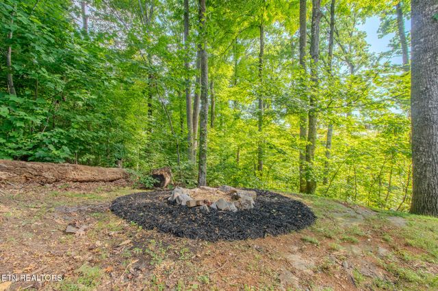 431 Thomas Loop Rd, Sevierville, TN 37876