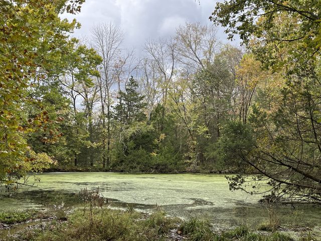 0 Preakness Place, Lebanon, TN 37090
