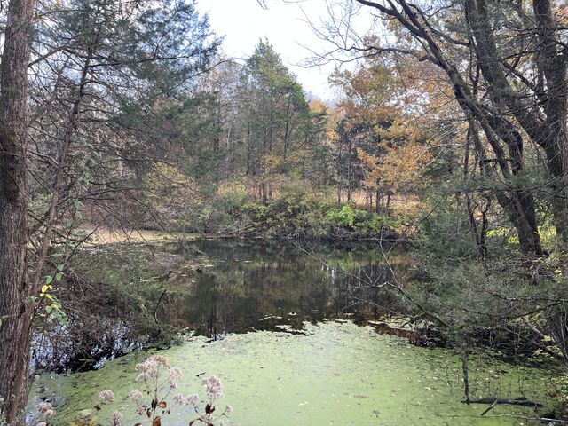 0 Preakness Place, Lebanon, TN 37090