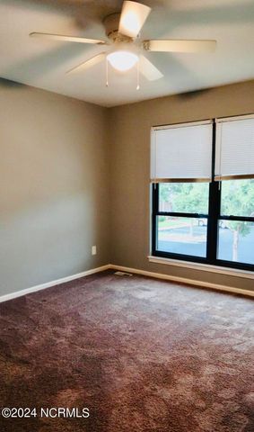 19 Upton Court, Greenville, NC 27858