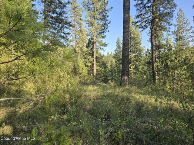 NKA Deer Rd, Harrison, ID 83833