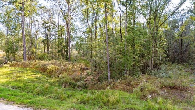 922 Rolling Pines Drive, Livingston, TX 77351