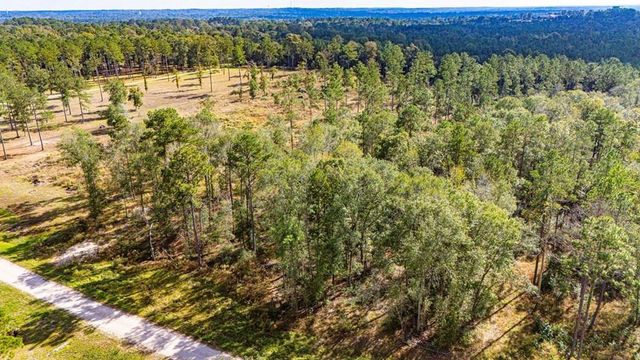 922 Rolling Pines Drive, Livingston, TX 77351
