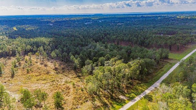922 Rolling Pines Drive, Livingston, TX 77351