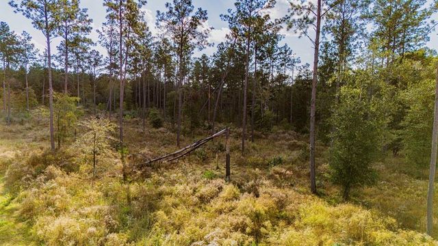 922 Rolling Pines Drive, Livingston, TX 77351