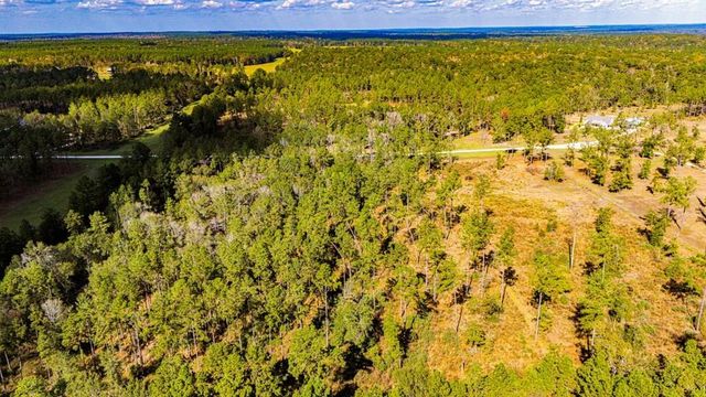 922 Rolling Pines Drive, Livingston, TX 77351