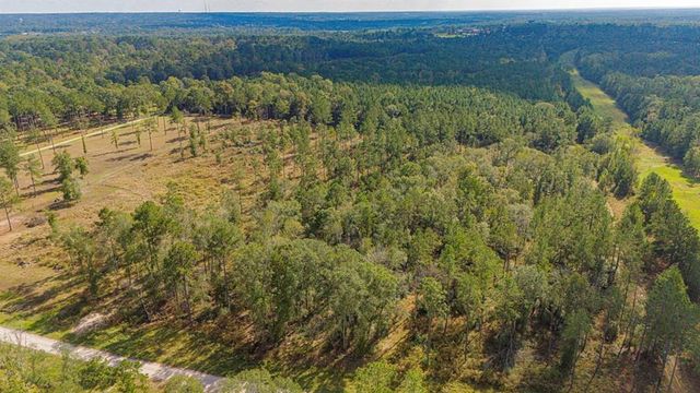 922 Rolling Pines Drive, Livingston, TX 77351