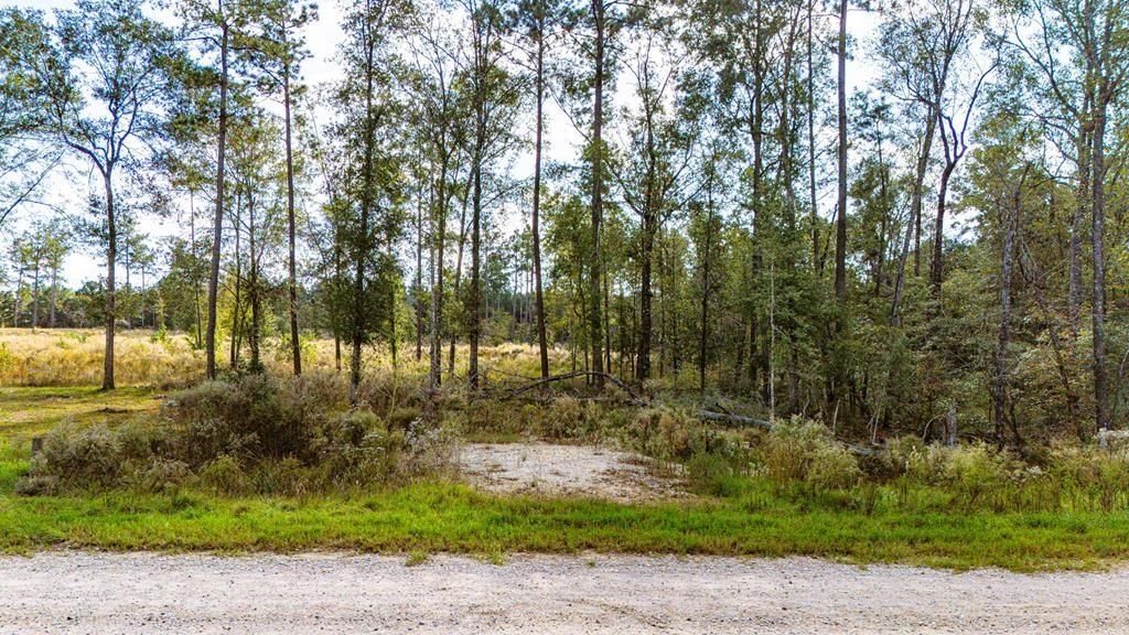922 Rolling Pines Drive, Livingston, TX 77351