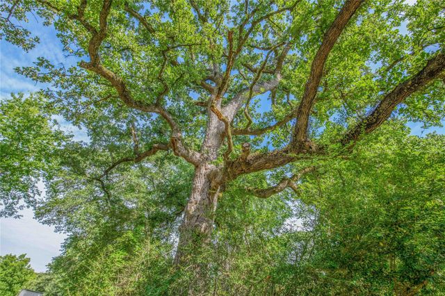 10250 Dogwood Trail, College Station, TX 77845