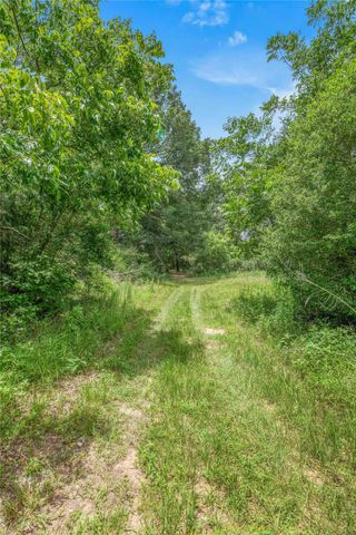 10250 Dogwood Trail, College Station, TX 77845