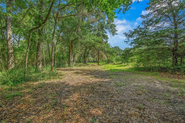 10250 Dogwood Trail, College Station, TX 77845