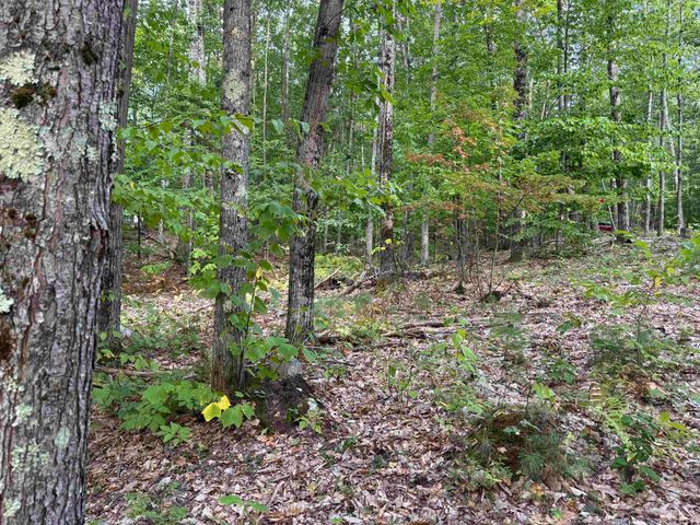 26 Circuit Road, Ossipee, NH 03864