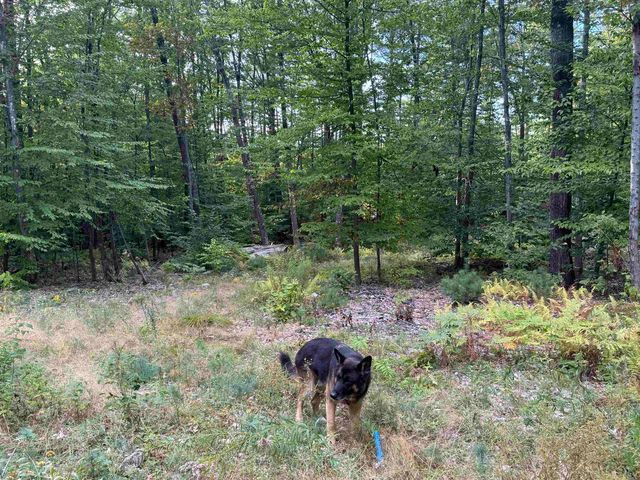 26 Circuit Road, Ossipee, NH 03864