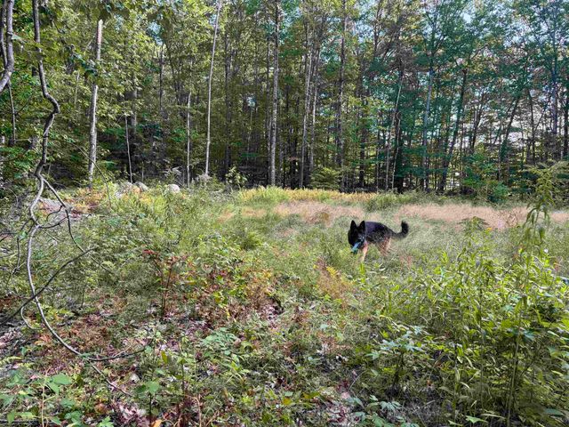 26 Circuit Road, Ossipee, NH 03864