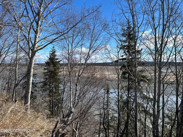 27264 Tideland Street, Kasilof, AK 99610