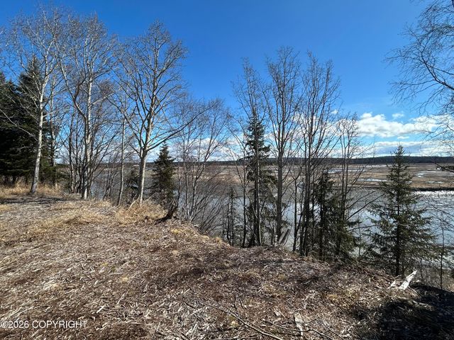 27264 Tideland Street, Kasilof, AK 99610