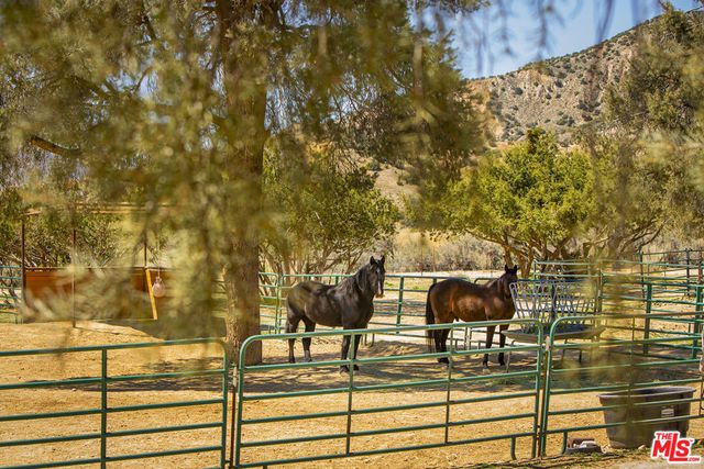 29433 Highway 33 Highway, Maricopa, CA 93252