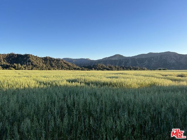 29433 Highway 33 Highway, Maricopa, CA 93252