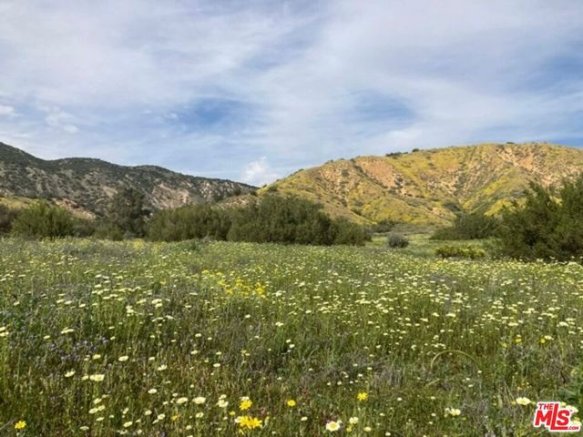 29433 Highway 33 Highway, Maricopa, CA 93252