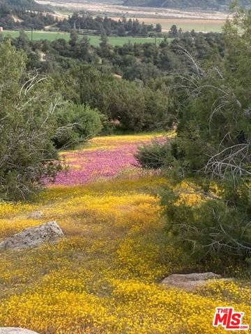 29433 Highway 33 Highway, Maricopa, CA 93252