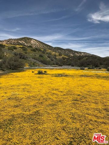 29433 Highway 33 Highway, Maricopa, CA 93252