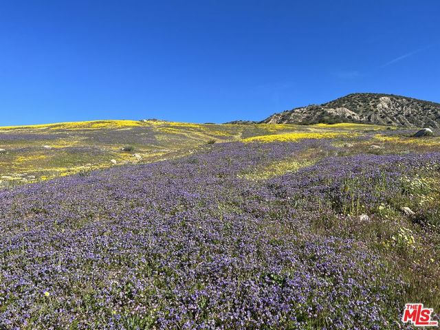 29433 Highway 33 Highway, Maricopa, CA 93252