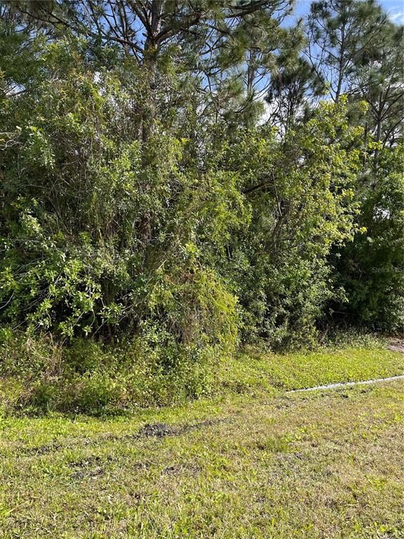 3357 & 3367 MONTEVERDE AVENUE SW, Palm Bay, FL 32908