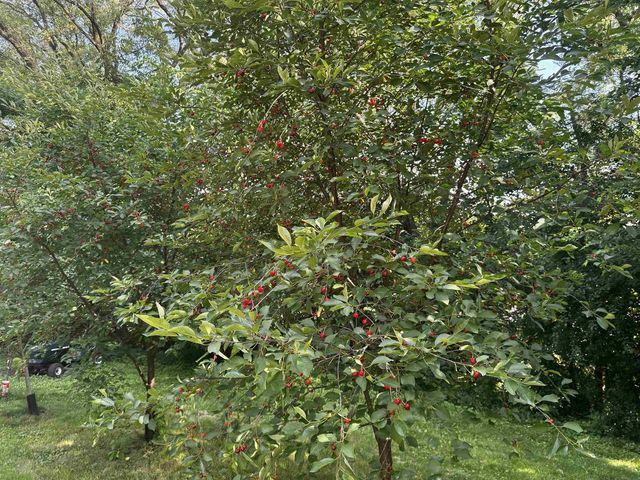 3029 Ruger Avenue, Janesville, WI 53546