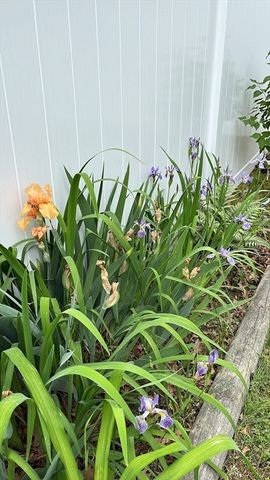 481 Upham St, Melrose, MA 02176