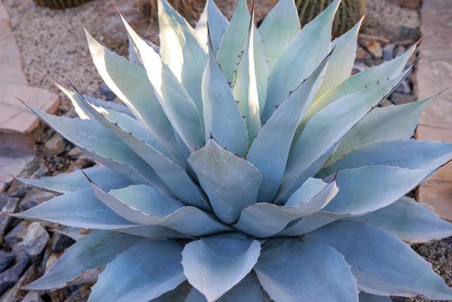 100 Barcelona Lane, Palm Desert, CA 92211