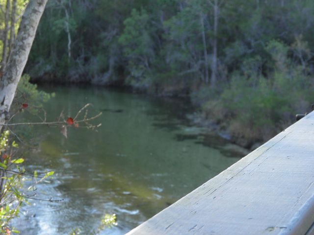 127 Big Oaks Lane, Niceville, FL 32578