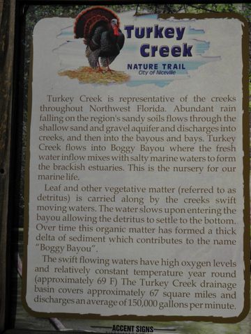 127 Big Oaks Lane, Niceville, FL 32578