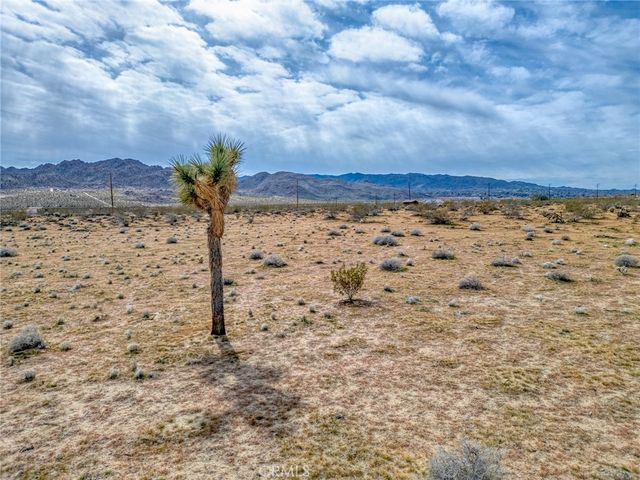 147 Little Road, Joshua Tree, CA 92252