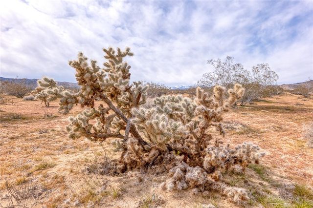 147 Little Road, Joshua Tree, CA 92252